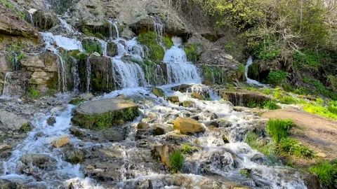 Little stream in the forest, small forest river waterfall summer spring time Stock Footage 154175349