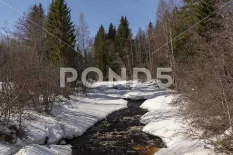 Little stream in the forest where thaw has begun. Stock Photos