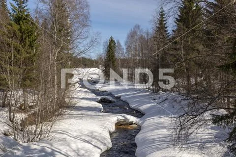 Little stream in the forest where thaw has begun. Stock Photos
