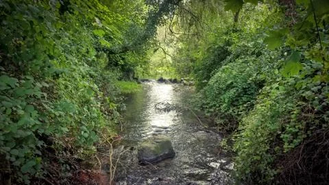 Little Stream Stock Photos