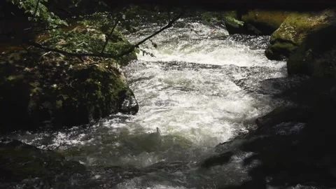Little stream running fast through stones in a forest Stock Footage 138082535