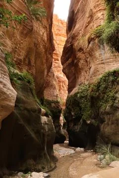 Little stream running through the deep Wadi Ghuweir Canyon, its walls covered Stock Photos