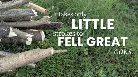 Little strokes eventually fell great oaks . Persistence in small efforts yi.. Stock Photos
