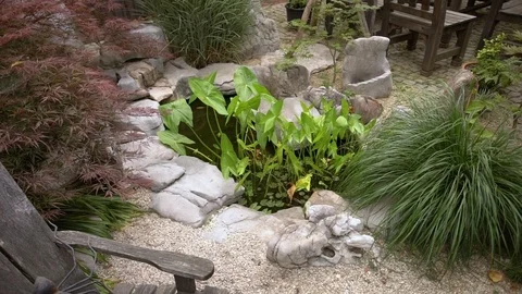 A little swamp surrounded by stone   Stock Footage 111016828
