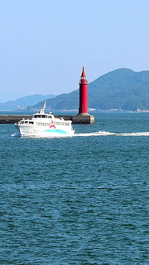 Little Tern Flapping Wings and Ferries Cruising in Hiroshima Port,Japan,Vertical 库存影片 340883365