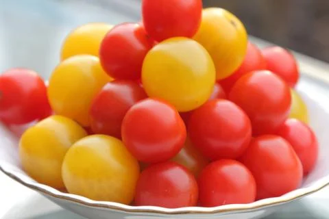 Little tomatoes Stock Photos