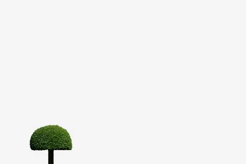 Little tree design on isolate background circle mushroom shape Stock Photos