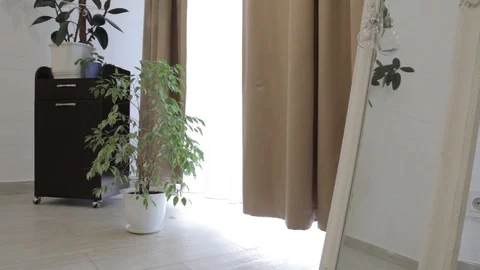 A little tree on floor at home. Stock Footage 102714818