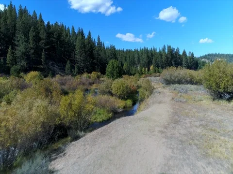 Little Truckee Fall Color Video stock 80541645