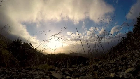 Little Tujunga canyon sunset time lapse in front of grass Stock-Footage 101314467