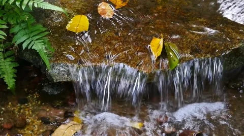 Little Water Cascade Stock Footage 47385196