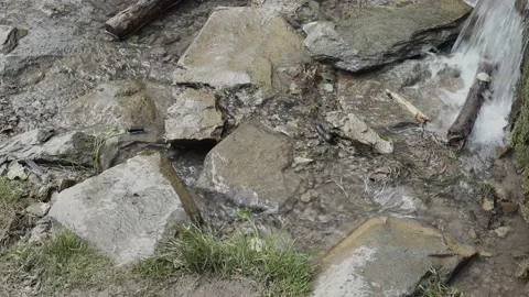 Little Waterfall 07 - Closeup Stock Footage 136524634