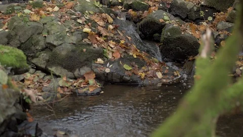 Little waterfall in autmn Stock Footage 97940108