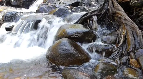 Little waterfall. Stock Footage 50313647