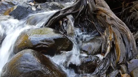 Little waterfall. Stock Footage 50313966