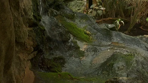 Little waterfall Stock Footage 117718152