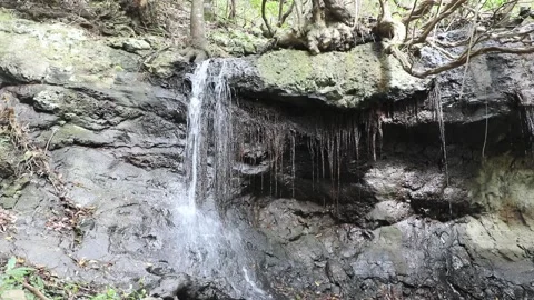 Little waterfall in the forest Video stock 106624743