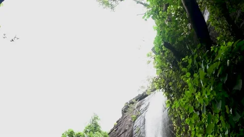 Little waterfall in the forest Stock Footage 159178153