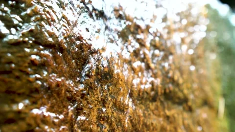 Little waterfall in the forest Stock Footage 159178176