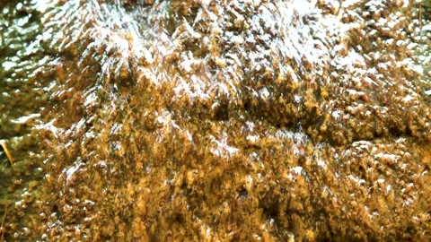 Little waterfall in the forest Stock Footage 159178184