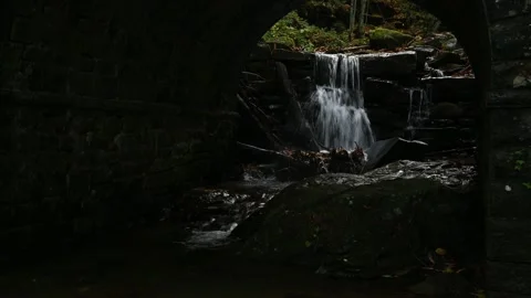 Little Waterfall in the forest Video stock 165270190