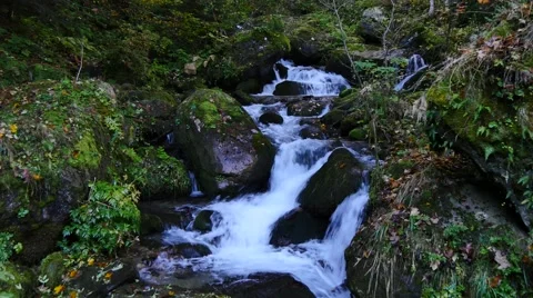 Little waterfall in forest wit a lots of moss Stockbeeldmateriaal 42997349
