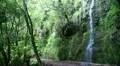 Little waterfall at hiking path 20110430 163902 HD Footage