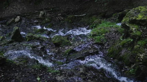Little waterfall in the middle of a forest Stock Footage 130192992