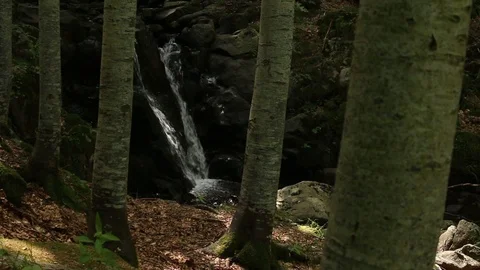 Little waterfall in mountain Video stock 99314174