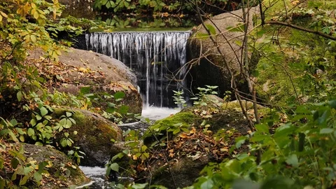 Little waterfall on the mountain stream Stock Footage 97988860