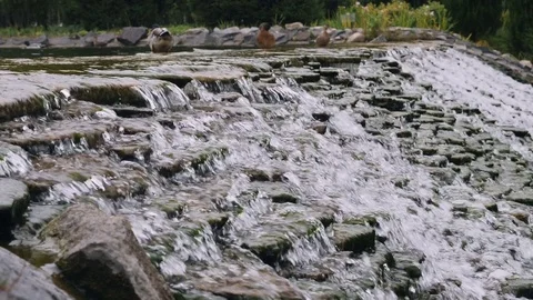 Little Waterfall In a Park. Side View Stock Footage 80500670