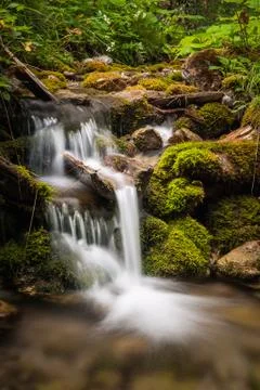 Little waterfall Stock Photos