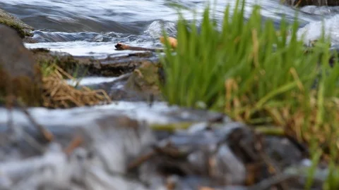 Little waterfall in a riverside forest in austria Stock Footage 126516713