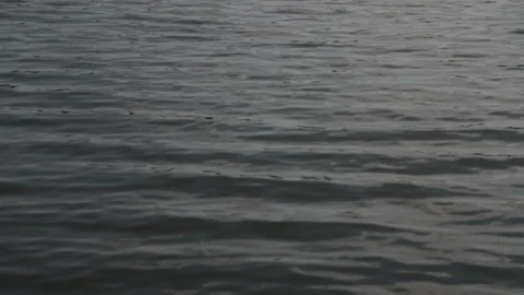 Little waves on the river Stock Footage 143970903