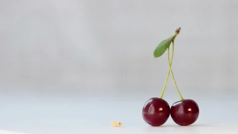 Little worm and cherry. Видео 149360379