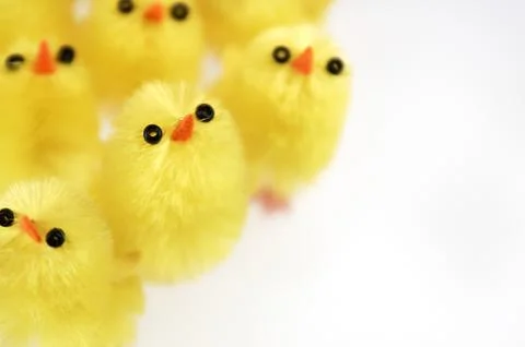Little yellow chickens. Easter decorations. Stock Photos