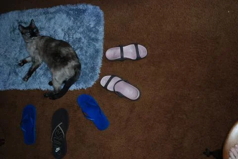 LittleNami Stock Photos