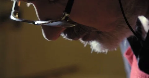 a liutist while building one of his works. violin Stock Footage
