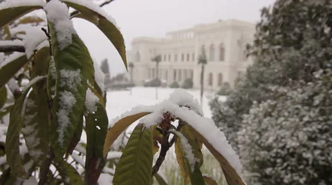 Livadia winter facade Stock Footage 61146133