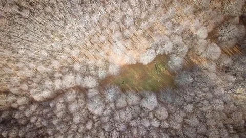 Livata mountain seen from a drone Stock Footage 100986645