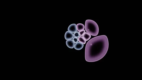 Live And Dead Cells Separate Into Two Distinct Colours Stock Footage 344512632