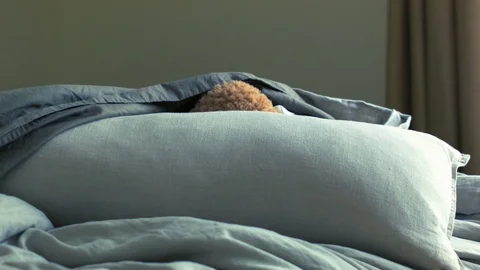 Live Animated Teddy Bear In Bed Peeking From Under The Covers Stock Footage 117241510