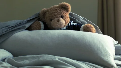 Live Animated Teddy Bear In Bed Disappearing Under The Covers Stock Footage 117241832