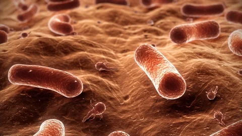 Live Bacteria Stock Footage 103413217
