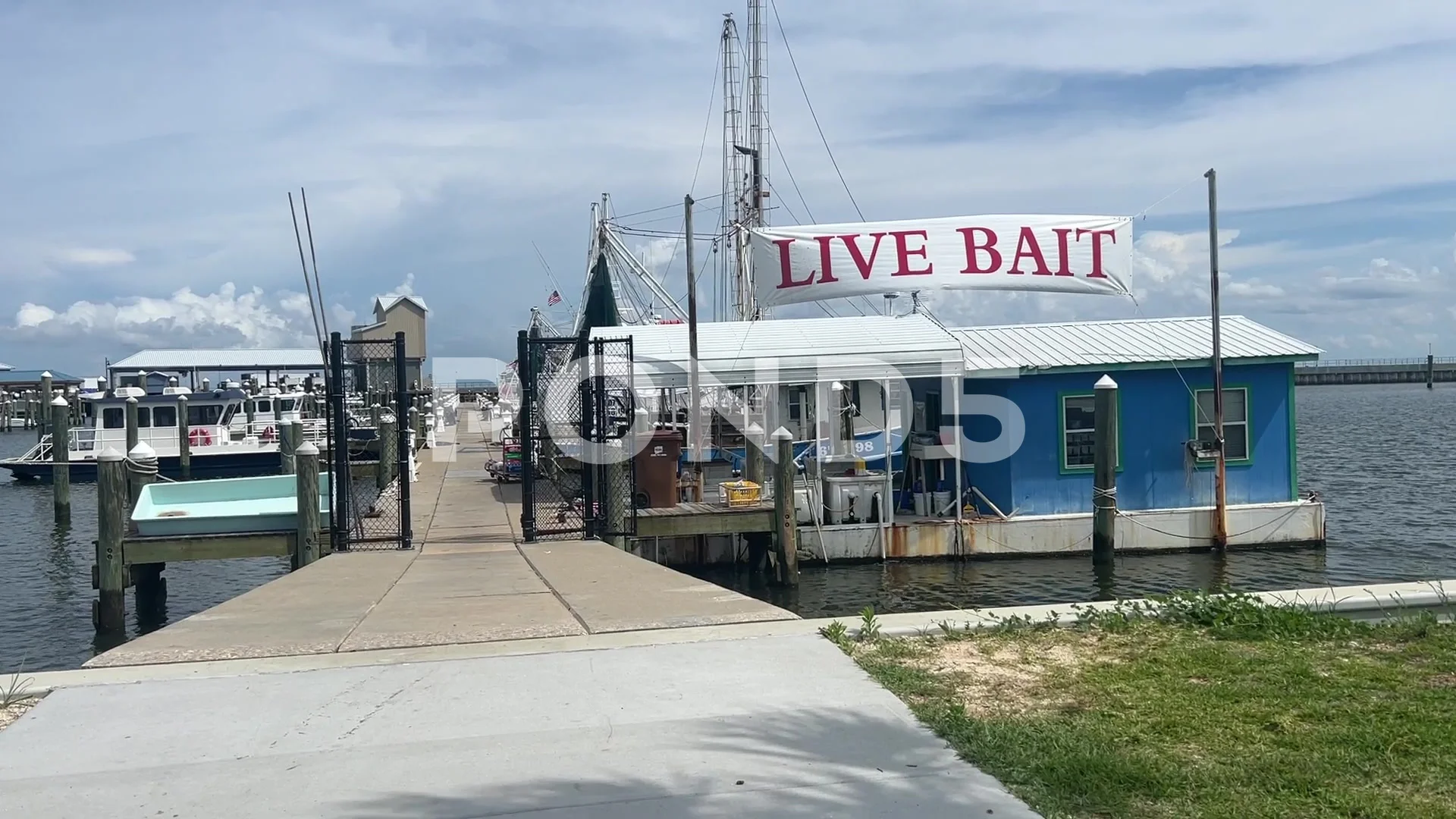 Live Bait shop in Pass Christian Harbor, Stock Video