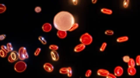 Live blood analysis darkfield microscopy cells loop 스톡 동영상 343137527