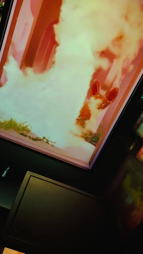 Live Canvas Desert Process 2 库存影片 328846771