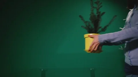 Live Christmas tree in a pot Stock Footage 122443518