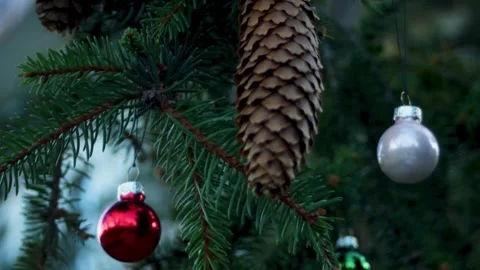 Live Christmas tree with spruce cones and decorated with glass balls Stock Footage 296401516