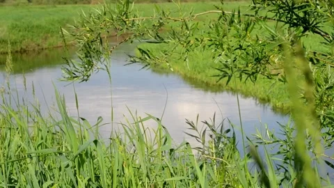 Live close to nature. Stock Footage 281578740